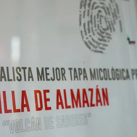 Alda Villa De Almazan 4*